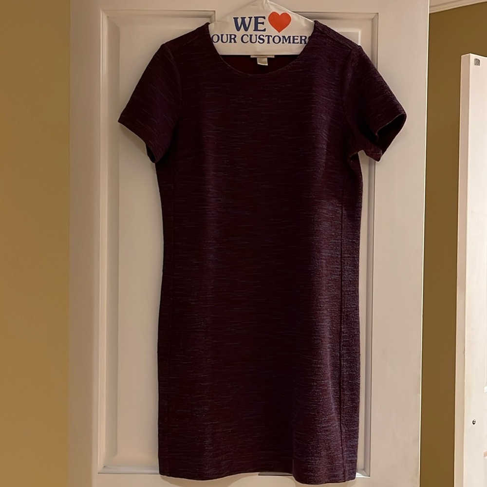 LOFT Women's Medium Dress Purple & Maroon Stretchy Knit Mini Short Sleeves Shift
